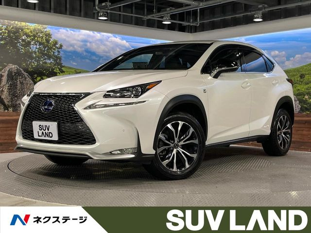 NX 300h Fスポーツ 