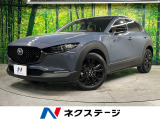 全周囲カメラ ディスプレイオーディオ 100V電源 衝突被害軽減システム