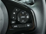 ◆アダプティブクルーズコントロール◆予め設定した車速内でクルマが自動的に加減速。前走車との適切な車間距離を維持しながら追従走行します。【LKAS】車線維持支援システムでステアリング操作を支援。