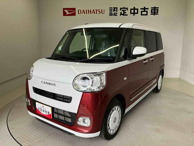 ムーヴキャンバス  ストライプス G