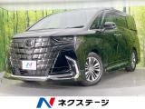 モデリスタエアロ 両側電動ドア 純正14型ナビ 全周囲カメラ