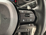クルーズコントロールを装備しています。高速道路などで一定の速度で走ってくれるので運転が楽ですよ!速度を設定できますので、スピードの出しすぎにも注意できます。