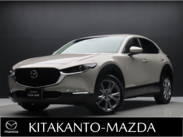 CX-30 2.0 20S プロアクティブ ツーリングセレクション 4WD