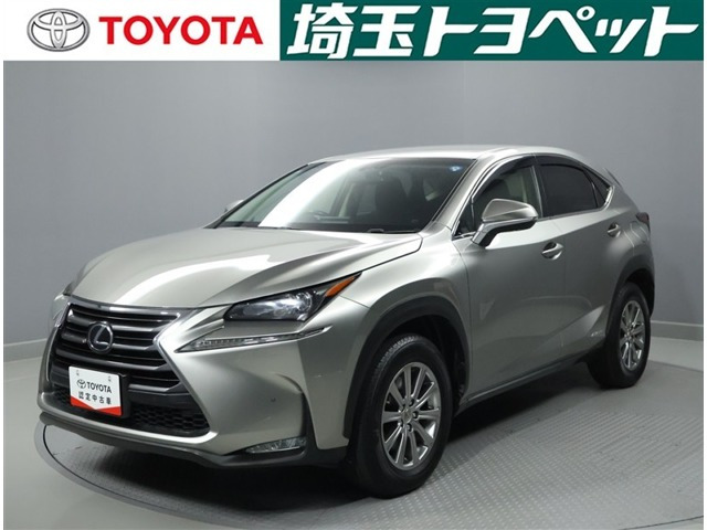 NX 300h 