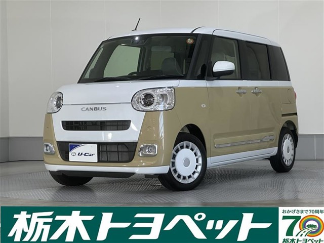 ムーヴキャンバス  ストライプス G
