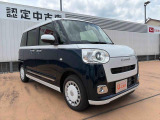 ムーヴキャンバス  ストライプス G
