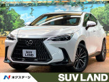 レーダークルーズ ブラインドスポットモニター オートハイビーム