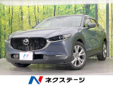 純正SDナビ 全周囲カメラ 衝突被害軽減システム 禁煙車 電動リアゲート
