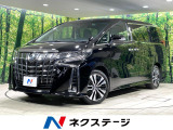 9型ディスプレイ 後席モニター 両側電動ドア デジタルインナーミラー