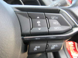 ステアリングスイッチで、先行車に自動追従するアダプティブクルーズコントロールが作動可能。設定した車速内での車間距離を自動で調整・維持。高速道路の渋滞時もアクセル・ブレーキ操作から解放されます。