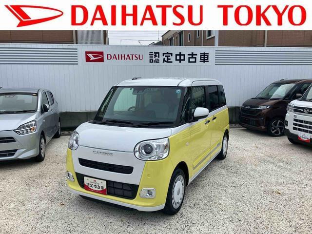 ムーヴキャンバス  ストライプス G