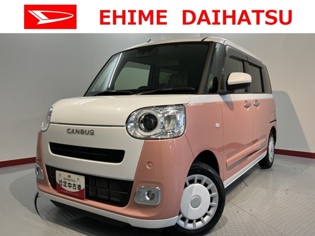 ムーヴキャンバス  ストライプス G