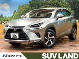 白革 3眼LEDヘッド オプション18インチAW レーダークルーズ