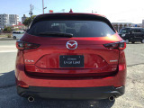 リアビューです。後ろから見ても目を引きます。