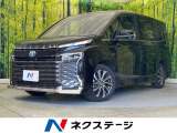 両側電動ドア 純正10型ナビ バックカメラ AC100V電源 衝突軽減