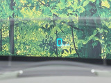 【ヘッドアップディスプレイ】現在の速度や走行情報をデジタル表示で運転席前方のガラスに投影!運転中、目線をずらさず必要な情報を確認できるのでとっても便利で安心!