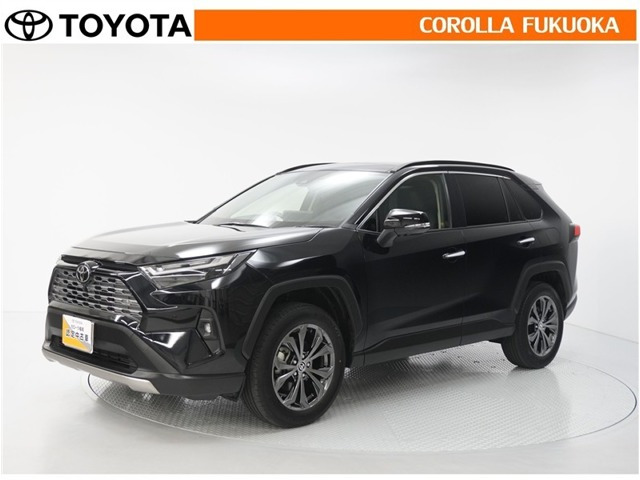 RAV4 2.5 ハイブリッド G E-Four 4WD （6AA-AXAH54）