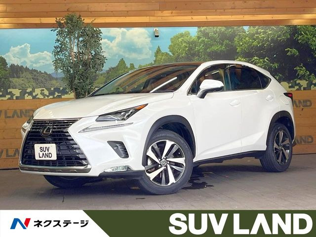 NX 200t Iパッケージ