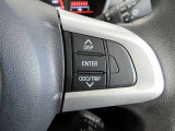 ステアリングスイッチは前方から目を離すことなく操作することが可能。わき見運転の防止に。