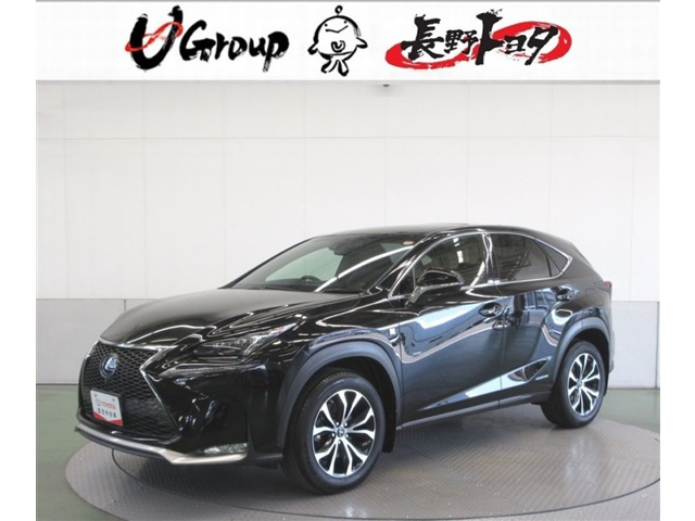 NX 300h Fスポーツ 