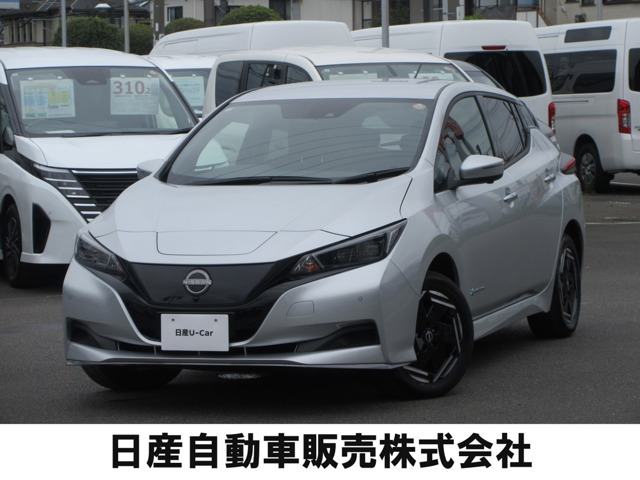 リーフ e+ X