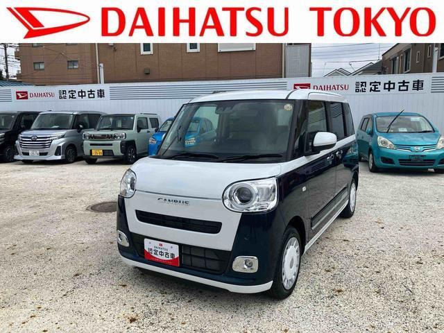 ムーヴキャンバス ストライプス G