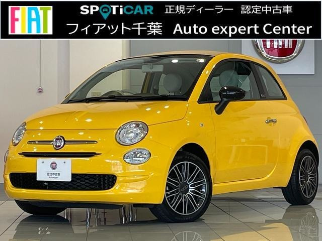 500C ミモザ 