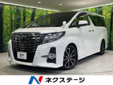 後席モニター BIG X10型ナビ バックカメラ 両側電動スライドドア