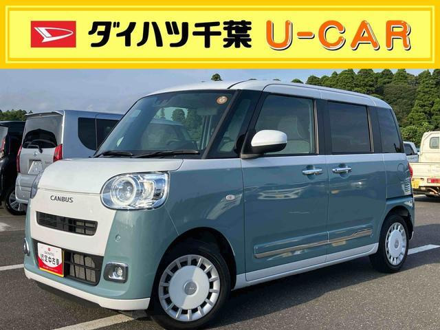 ムーヴキャンバス  ストライプス G