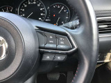 レーダークルーズの設定もハンドルから可能です。