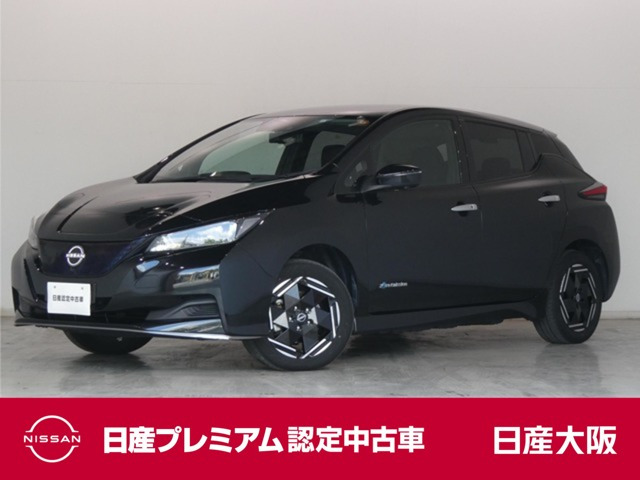 リーフ e+ X
