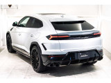 Style Package Full in High Gloss Black