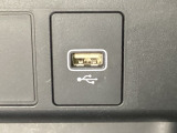 アクセサリーソケットの横にはナビゲーション用の外部入力可能なUSB端子がついています。
