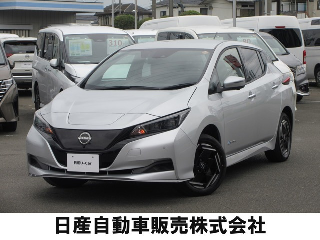リーフ e+ X