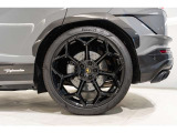 Rims Pelope 23 with titanium wheel  bolts - Shiny Black