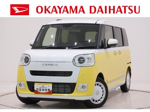 ムーヴキャンバス  ストライプス G