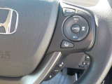 一定の速度(例えば100km)と設定しておけばその速度でずっと走ってくれる「クルーズコントロール」付です。例えば高速道路で設定すれば、アクセル踏まなくてもいいので楽ですよ!燃費も良くなります。