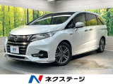 メーカーナビ 後席モニター 全周囲カメラ 両側電動ドア