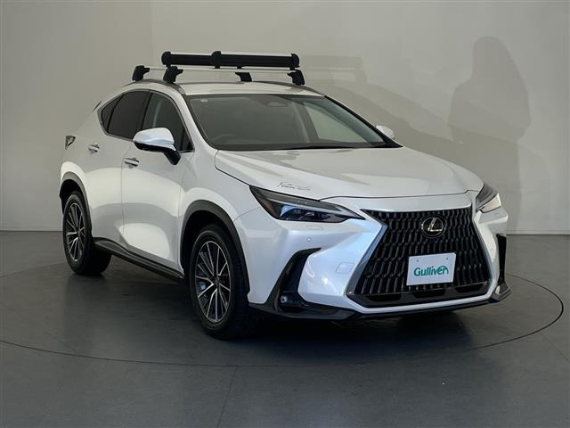 NX 250 バージョンL 本革シート 修復歴無し