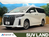 サンルーフ 後席モニター 9インチディスプレイ バックカメラ