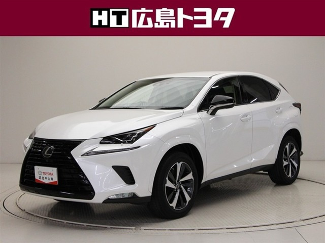 NX 300 ブラック シークエンス 