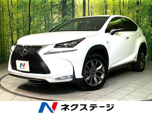 NX 300h Fスポーツ
