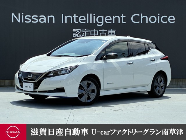 リーフ e+ アーバンクロム