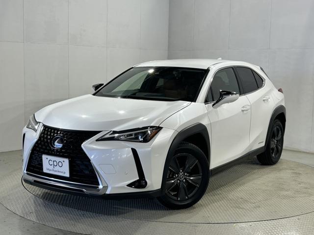 UX 250h ブラウン エディション