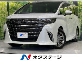 ガラスルーフ 両側電動スライドドア 純正14インナナビ 後席モニター