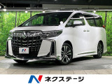 サンルーフ フルエアロ 両側電動ドア 後席モニター バックカメラ