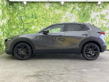 CX-30 2.0 20S レトロスポーツエディション 