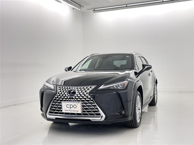 UX 250h グレイスフル エクスプローラー 