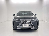 UX 250h グレイスフル エクスプローラー 