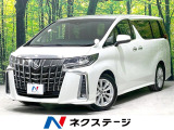 後期型 両側電動スライドドア BIG-X フリップダウン 衝突軽減装置
